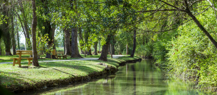 fonti di clitunno umbria